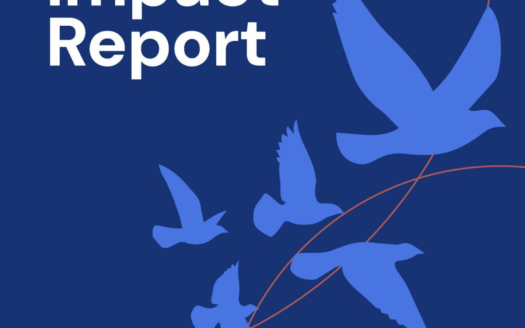 2025 Annual Impact Report